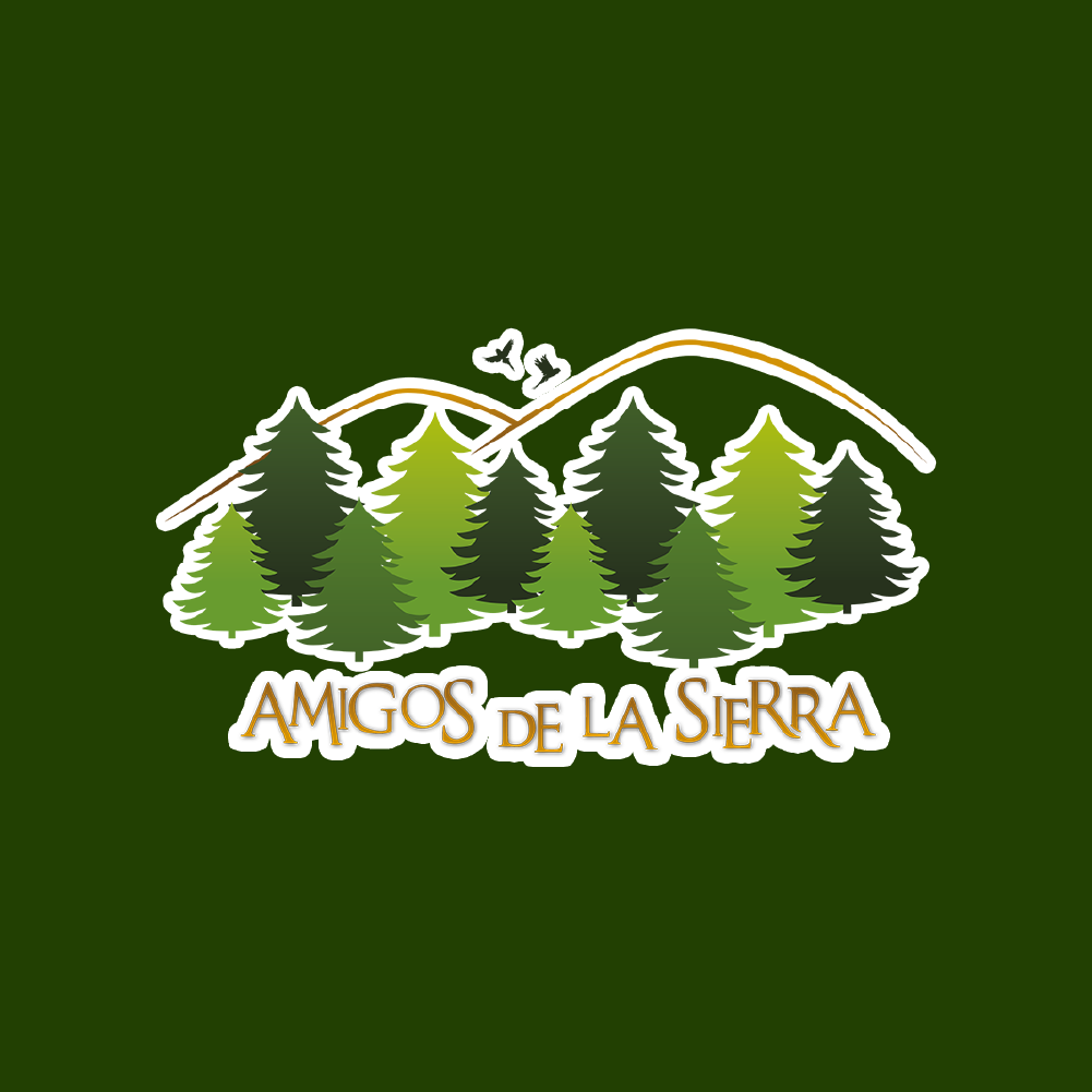 Generation Forest Invest